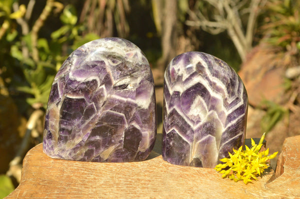 Polished NEW Chevron Amethyst Standing Free Forms  x 2 From Zambia - TopRock