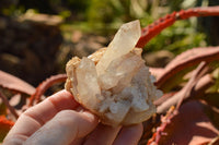 Natural Mixed Quartz Clusters  x 12 From Madagascar - TopRock