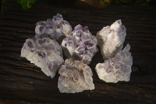 Natural Sugar Amethyst Clusters  x 6 From Solwezi, Zambia