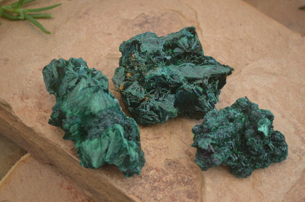 Natural Chatoyant Silky Malachite Specimens  x 3 From Kasompe, Congo - Toprock Gemstones and Minerals 