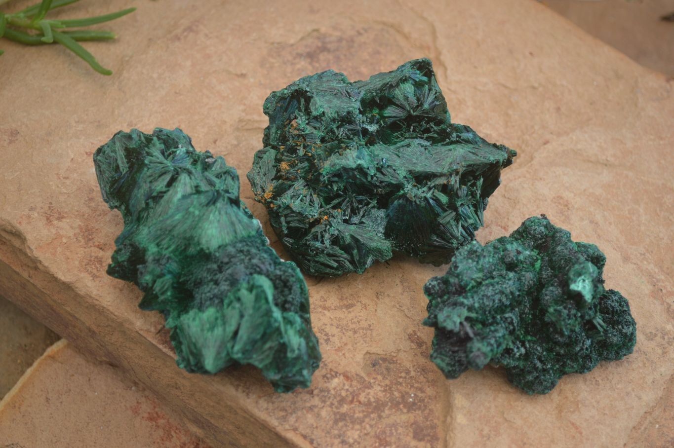 Natural Chatoyant Silky Malachite Specimens  x 3 From Kasompe, Congo - Toprock Gemstones and Minerals 
