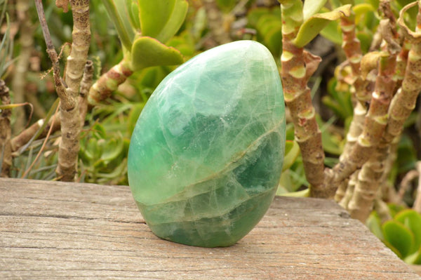 Polished Large Green Emerald Fluorite Standing Free Forms  x 1 From Madagascar - TopRock