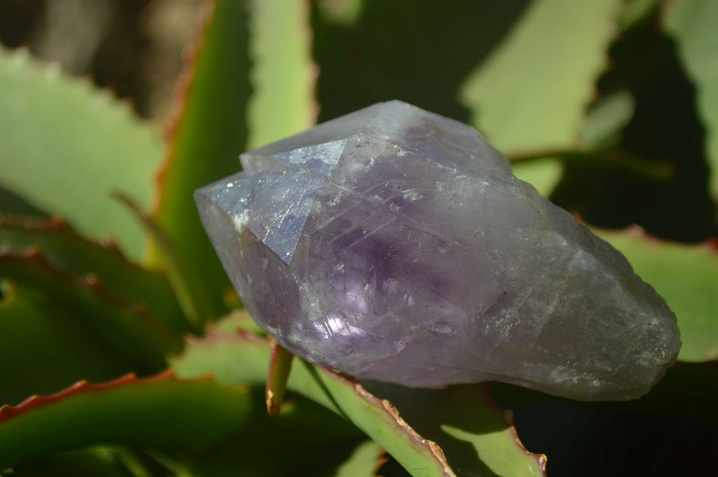 Natural Jacaranda Amethyst Crystals x 12 From Mumbwa, Zambia - Toprock Gemstones and Minerals 