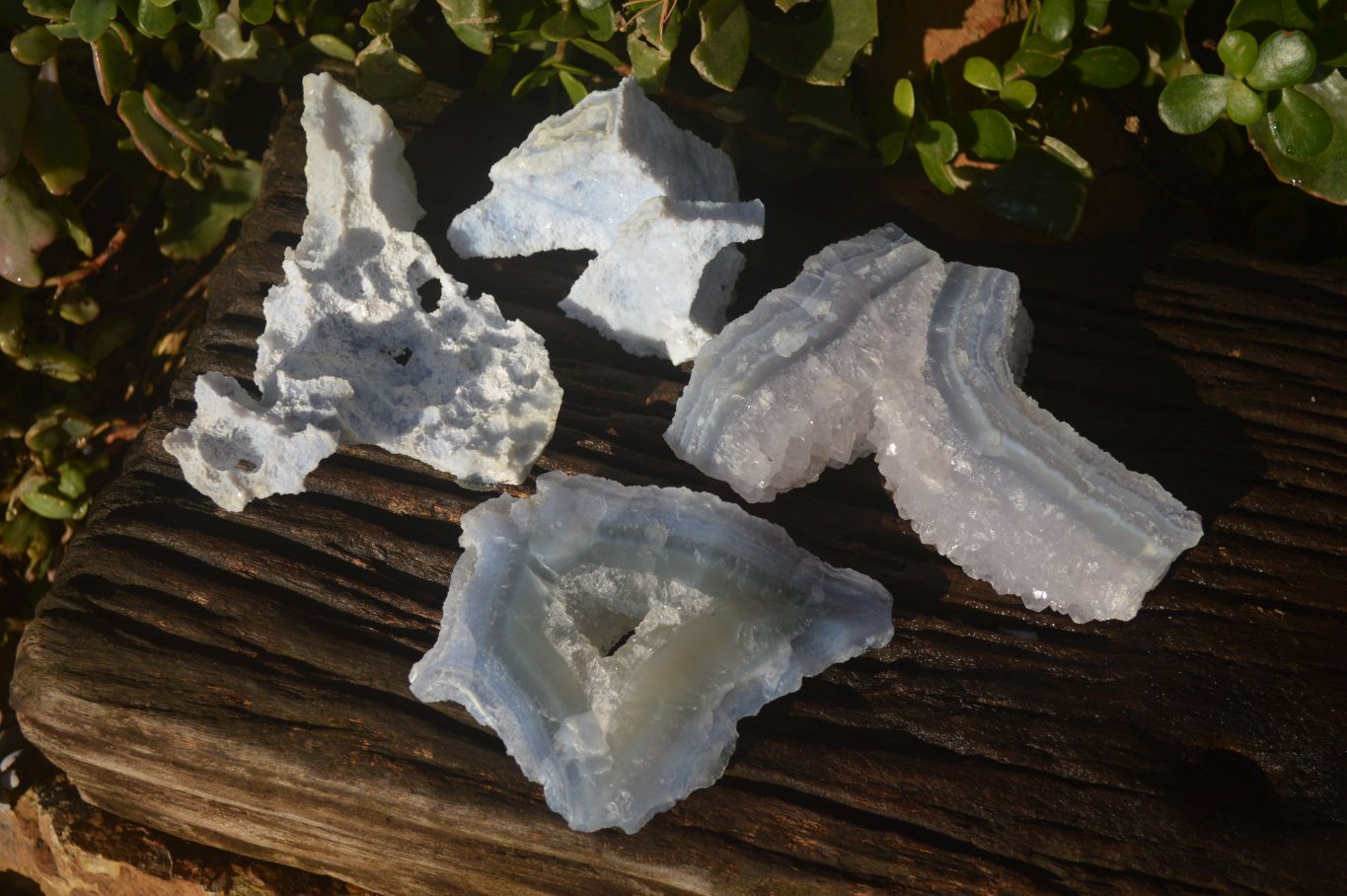 Natural Etched Blue Chalcedony Specimens  x 4 From Nsanje, Malawi - Toprock Gemstones and Minerals 