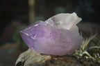 Natural Single Jacaranda Amethyst Crystals x 12 From Mumbwe, Zambia - Toprock Gemstones and Minerals 