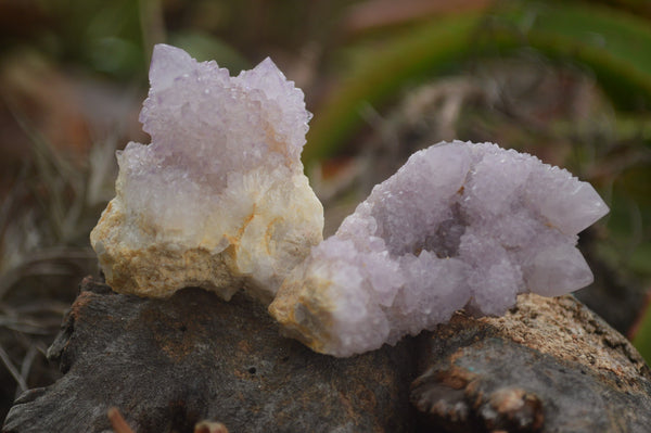 Natural Small Spirit Quartz Crystals & Clusters  x 35 From Boekenhouthoek, South Africa - TopRock