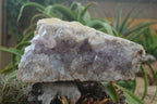 Natural Jacaranda Amethyst Cluster x 1 From Mumbwa, Zambia - TopRock