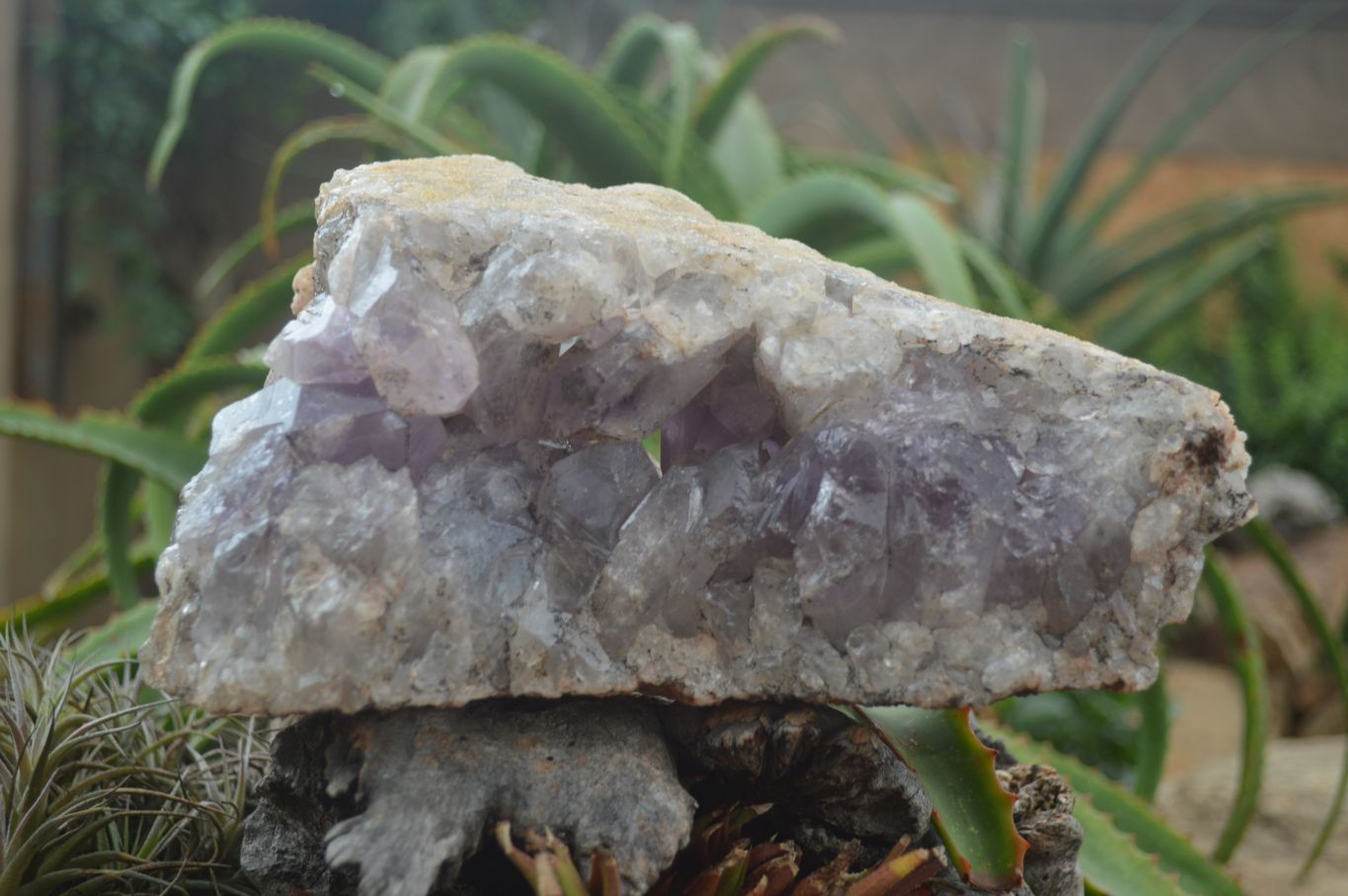 Natural Jacaranda Amethyst Cluster x 1 From Mumbwa, Zambia - TopRock