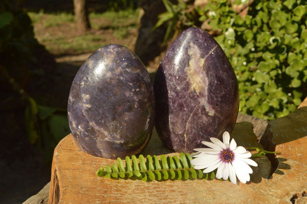 Polished Purple Lepidolite With Pink Tourmaline Standing Free Forms x 2 From Madagascar - TopRock