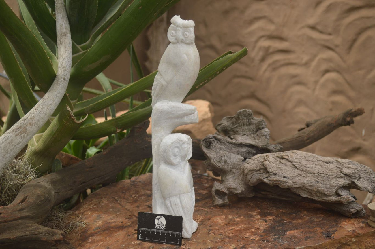 Polished Sparkling White Marble Owl Sculpture x 1 From