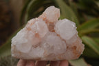 Natural Spirit Cactus Flower Quartz Clusters x 3 From Boekenhouthoek, South Africa - Toprock Gemstones and Minerals 