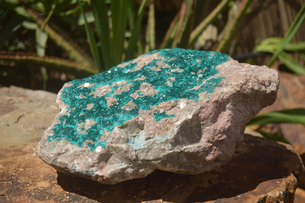 Natural Rare Massive Emerald Dioptase Specimen  x 1 From Congo - TopRock
