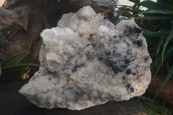 Natural XXL Pineapple Candle Quartz Crystal Cluster  x 1 From Madagascar