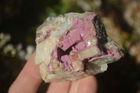 Natural Salrose Cobaltion Dolomite Specimens x 12 From Kakanda, Congo - Toprock Gemstones and Minerals 