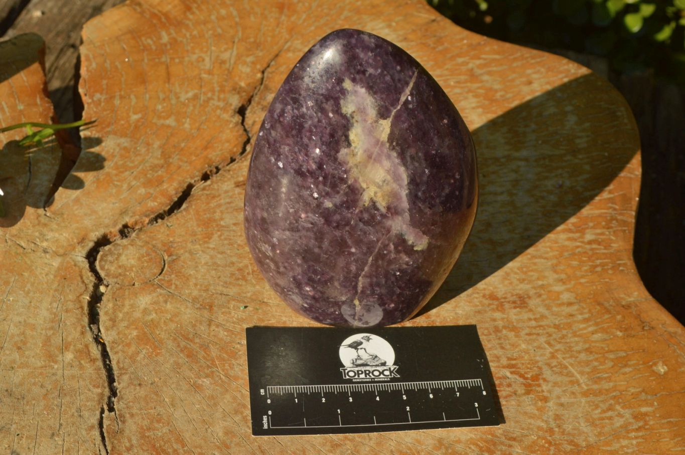 Polished Purple Lepidolite With Pink Tourmaline Standing Free Forms x 2 From Madagascar - TopRock