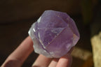 Natural Single Jacaranda Amethyst Crystals x 12 From Mumbwe, Zambia - Toprock Gemstones and Minerals 