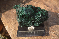 Natural Chatoyant Silky Malachite Specimens  x 3 From Kasompe, Congo - Toprock Gemstones and Minerals 