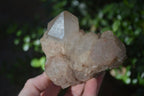 Natural Cascading White Phantom Smokey Quartz Clusters x 2 From Luena, Congo - Toprock Gemstones and Minerals 