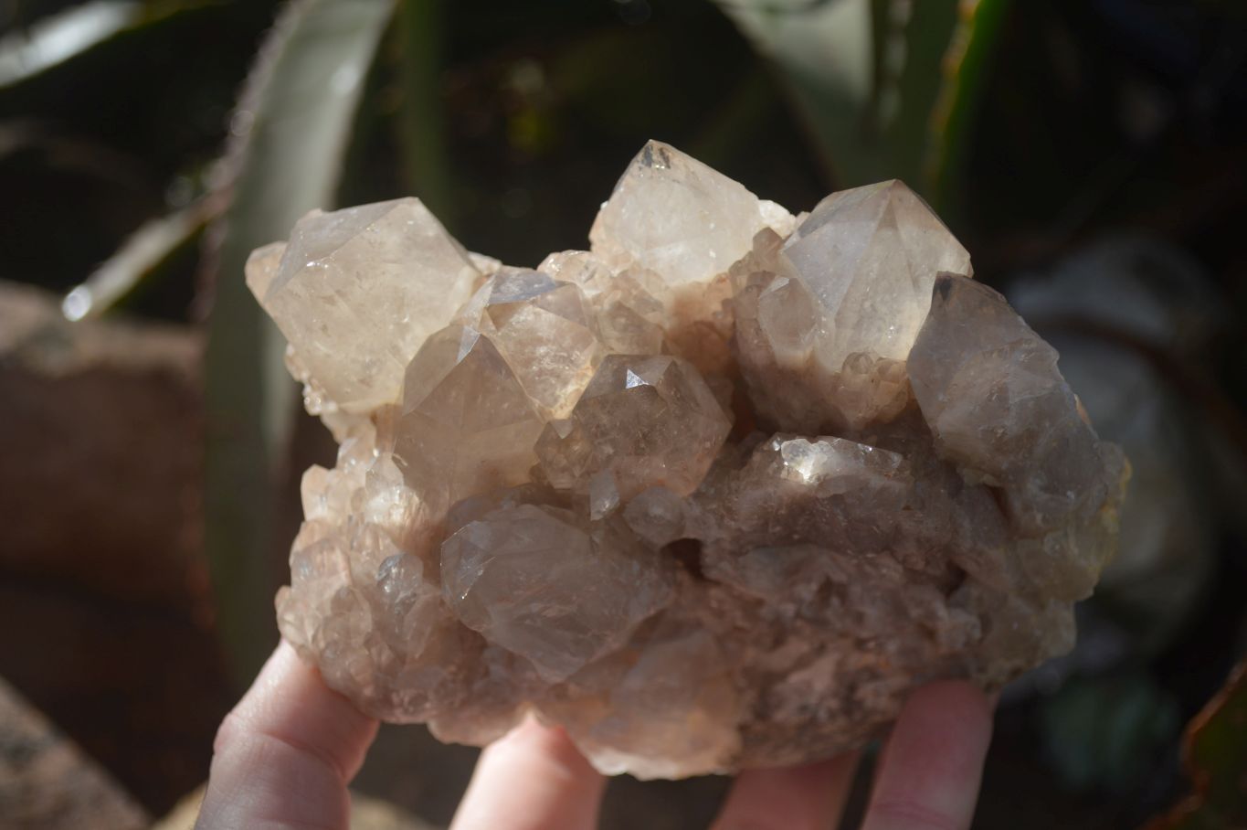 Natural Cascading Smokey Quartz Clusters x 2 From Luena, Congo - Toprock Gemstones and Minerals 