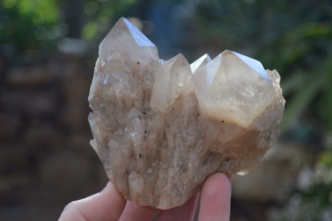 Natural Cascading White Phantom Smokey Quartz Clusters x 2 From Luena, Congo - Toprock Gemstones and Minerals 