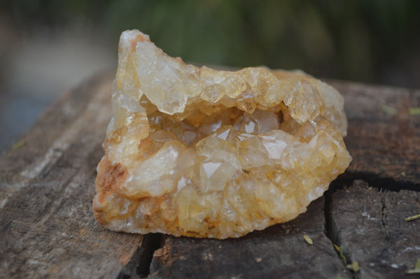 Natural Golden Limonite / Lemonite Quartz Clusters  x 24 From Zambia - TopRock