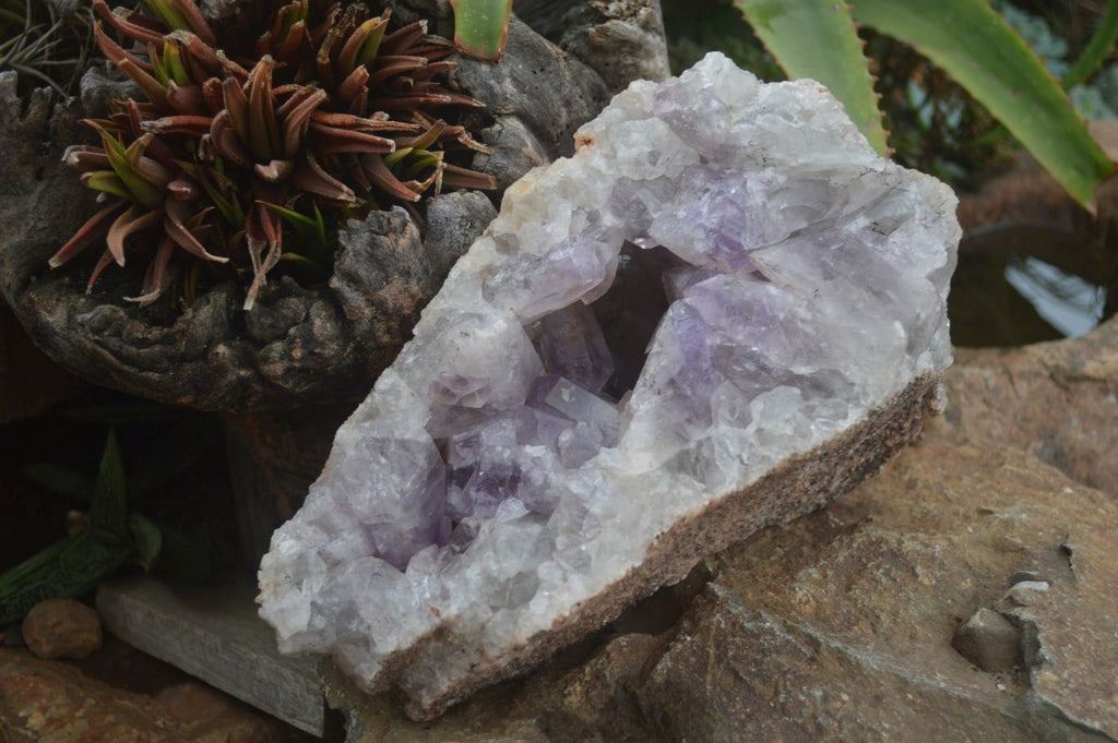 Natural Jacaranda Amethyst Cluster x 1 From Mumbwa, Zambia - TopRock