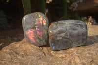 Polished Rare Purple Flash Labradorite Standing Free Forms x 2 From Tulear, Madagascar - Toprock Gemstones and Minerals 
