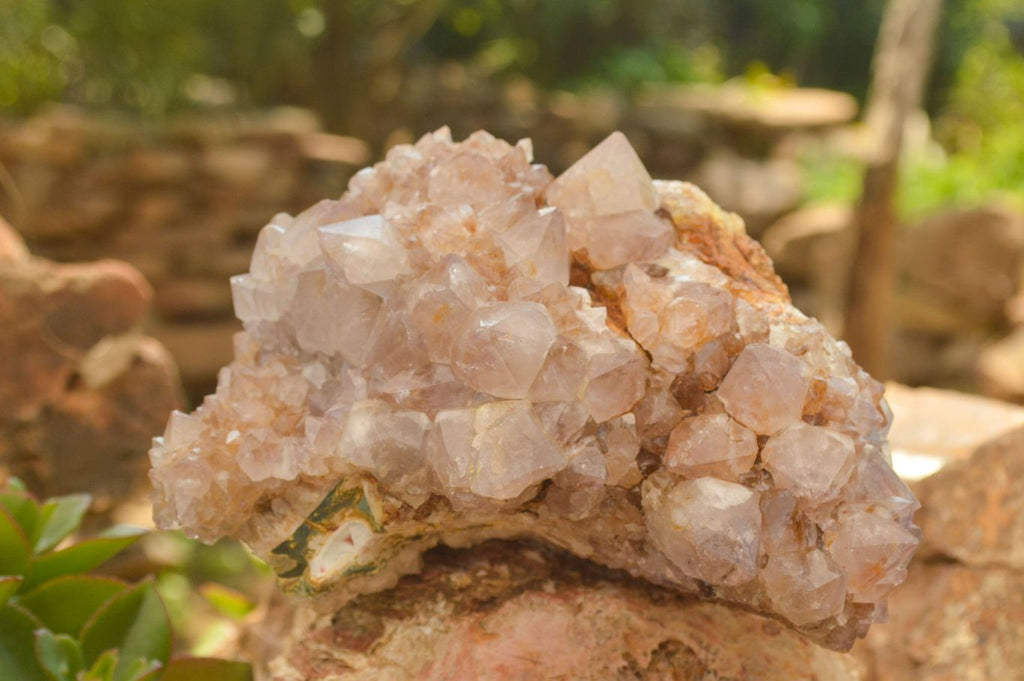 Polished Large Spirit Quartz Clusters  x 2 From Boekenhouthoek, South Africa - TopRock