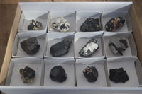 Natural Schorl Black Tourmaline Specimens x 12 From Erongo, Namibia