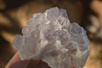 Natural Sugar Amethyst Clusters  x 6 From Solwezi, Zambia - Toprock Gemstones and Minerals 