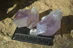 Natural Jacaranda Amethyst Crystals x 12 From Mumbwa, Zambia - Toprock Gemstones and Minerals 