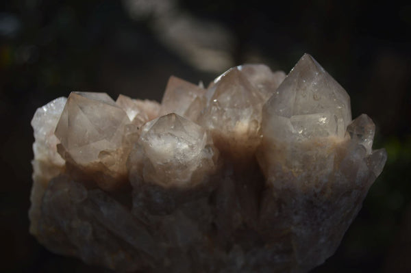 Natural Cascading Smokey Quartz Clusters x 2 From Luena, Congo - Toprock Gemstones and Minerals 