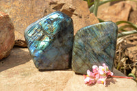 Polished Labradorite Standing Free Forms With Blue & Gold Flash  x 2 From Tulear, Madagascar - TopRock