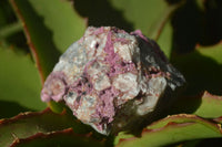 Natural Salrose Cobaltion Dolomite Specimens x 12 From Kakanda, Congo - Toprock Gemstones and Minerals 