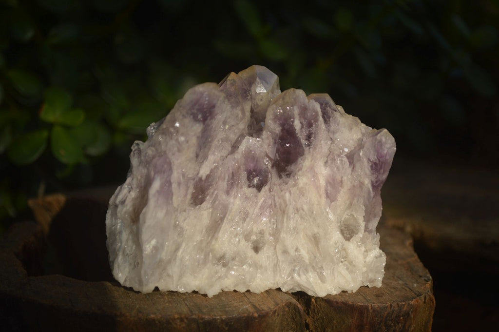Natural Sugar Amethyst Clusters  x 6 From Solwezi, Zambia - Toprock Gemstones and Minerals 