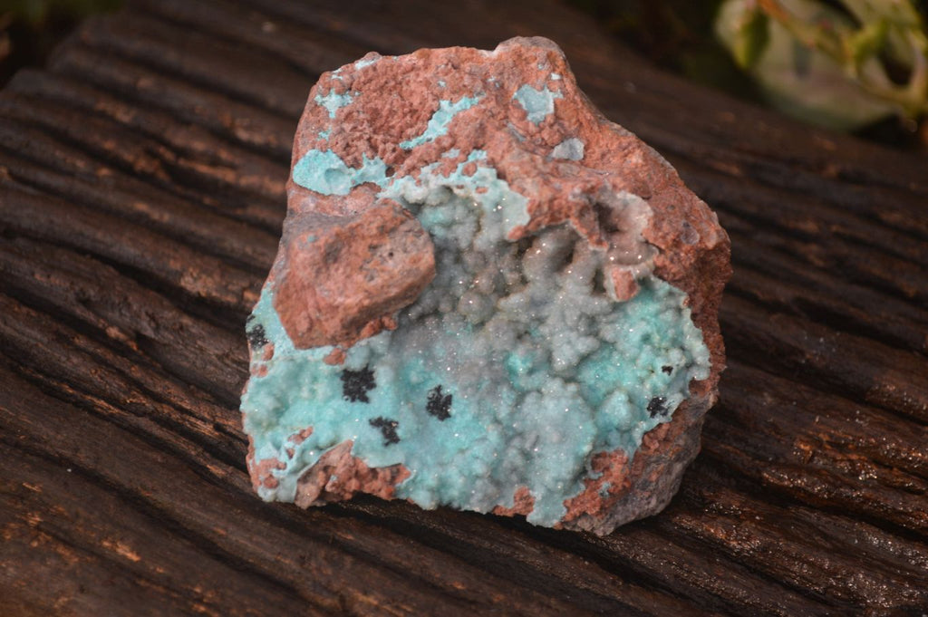 Natural Drusy Coated Chrysocolla Dolomite Specimens x 3 From Congo - Toprock Gemstones and Minerals 