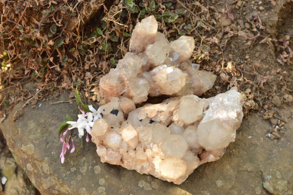 Natural Smokey Phantom Quartz Clusters  x 2 From Luena, Congo - TopRock