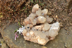 Natural Smokey Phantom Quartz Clusters  x 2 From Luena, Congo - TopRock