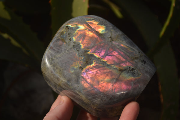 Polished Rare Purple Flash Labradorite Standing Free Forms x 2 From Tulear, Madagascar - Toprock Gemstones and Minerals 