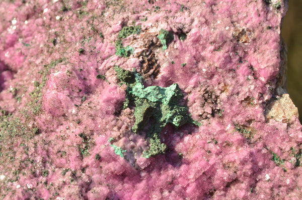 Natural Pink Salrose Cobaltion Dolomite Specimen With Silky Malachite x 1 From Kakanda, Congo - TopRock