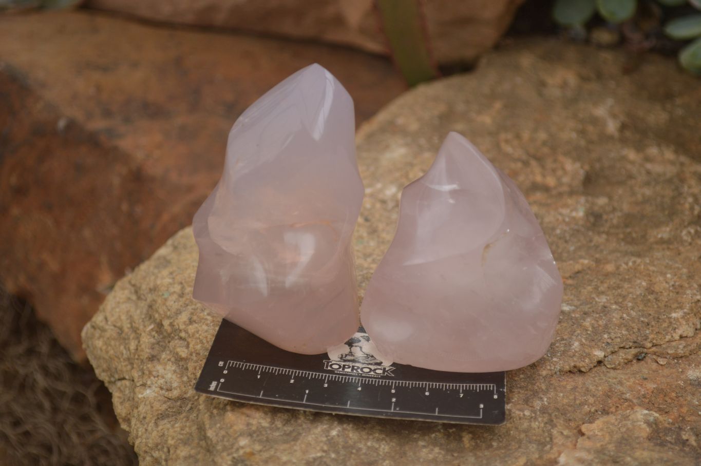 Polished Pink Rose Quartz Flame Sculptures x 6 From Antsirabe, Madagascar - Toprock Gemstones and Minerals 