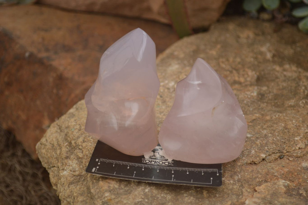Polished Pink Rose Quartz Flame Sculptures x 6 From Antsirabe, Madagascar - Toprock Gemstones and Minerals 