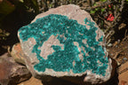 Natural Rare Massive Emerald Dioptase Specimen  x 1 From Congo - TopRock