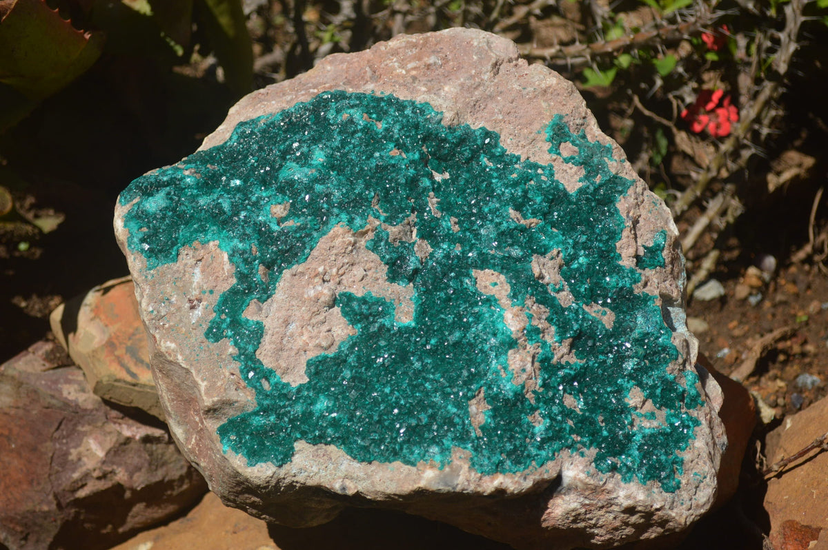 Natural Rare Massive Emerald Dioptase Specimen  x 1 From Congo - TopRock