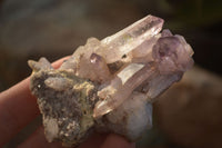 Natural Long Amethyst Crystals  x 12 From Chiredzi, Zimbabwe - Toprock Gemstones and Minerals 
