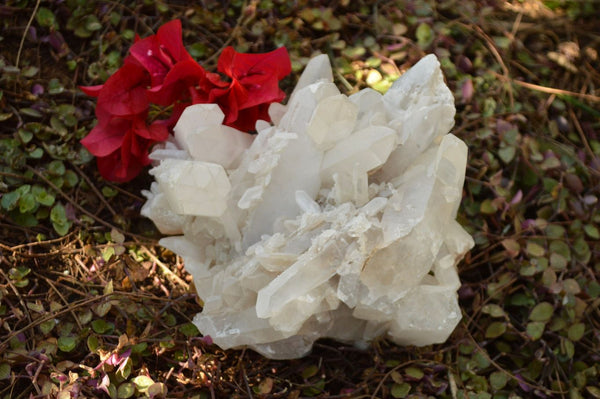 Natural White Quartz Cluster With Large Double Terminated Crystals  x 1 From Madagascar - TopRock