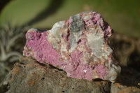 Natural Salrose Cobaltion Dolomite Specimens x 12 From Kakanda, Congo - Toprock Gemstones and Minerals 