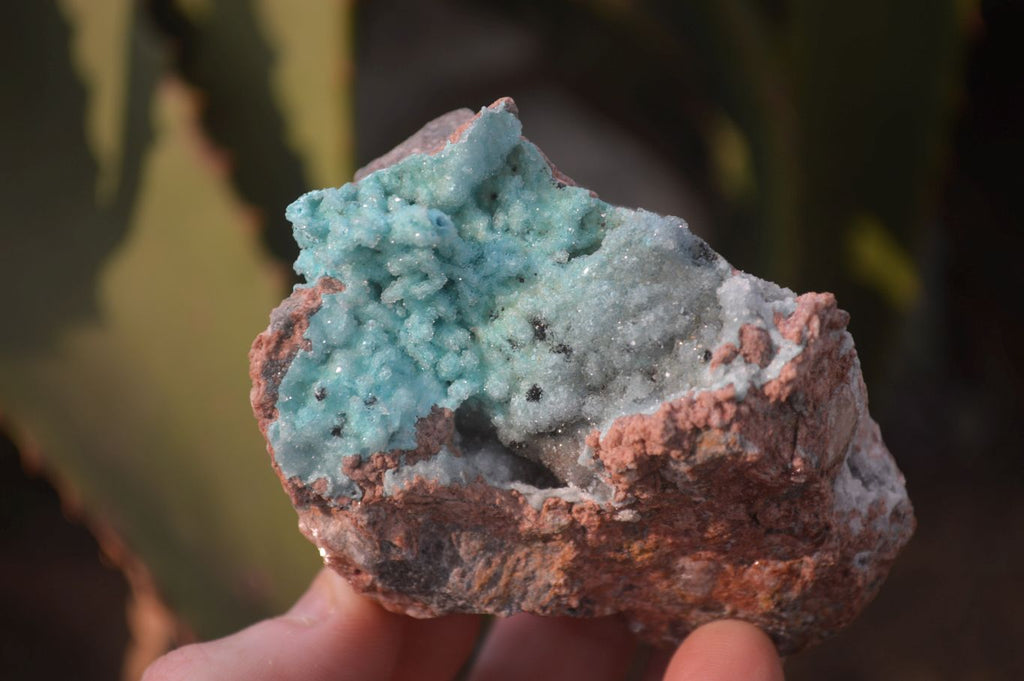 Natural Drusy Coated Chrysocolla Dolomite Specimens x 3 From Congo - Toprock Gemstones and Minerals 