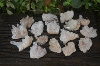 Natural Small Clear Quartz Clusters  x 24 From Madagascar - Toprock Gemstones and Minerals 