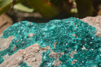 Natural Rare Massive Emerald Dioptase Specimen  x 1 From Congo - TopRock